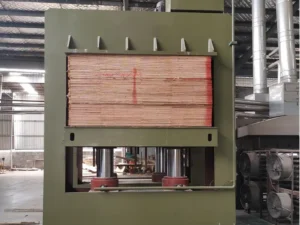 Cold Press Machine